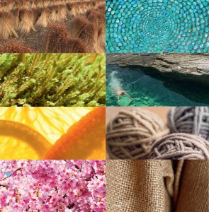 Image de une site Zolpan pour la présentation de la collection Couleurs et Bien-être