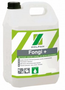 Fongi +
